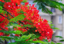 Nghỉ hè với Chúa