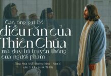 Các bài suy niệm Chúa Nhật 22 Thường niên Năm B