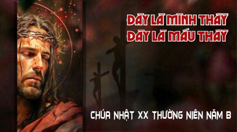 Các bài suy niệm Chúa Nhật 20 Thường niên Năm B