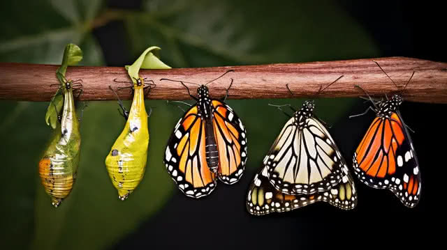 Cứ lớn đi đừng sợ