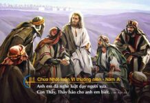 Các bài suy niệm Chúa Nhật 6 Thường Niên_A