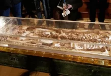 Di hài của Thánh Phanxicô Assisi được trưng bày công khai để tôn kính