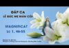 Đáp ca – Tung Hô Tin Mừng Lễ Đức Mẹ Mân Côi